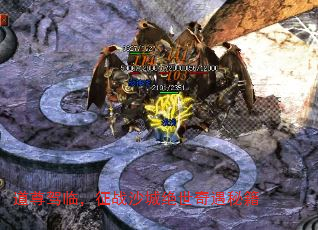 道尊驾临,征战沙城绝世奇遇秘籍 道尊驾临,征战沙城绝世奇遇秘籍