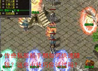 传奇私服新手期如何快速赚钱?这些小技巧你试过吗? 传奇私服新手期如何快速赚钱?这些小技巧你试过吗?