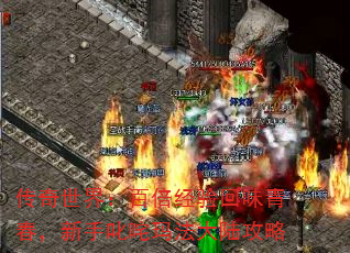 �������磺�ٱ������ζ�ഺ������߳���귨��½����