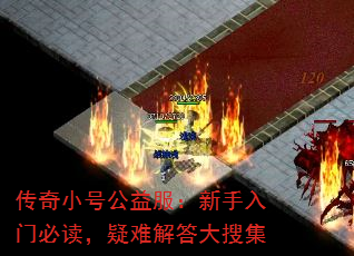 ����С�Ź�������������űض������ѽ����Ѽ�