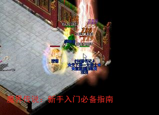 ħ�紫˵���������űر�ָ��
