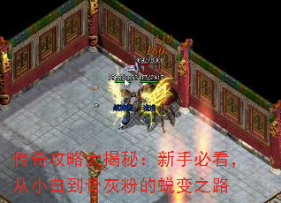 ���湥�Դ���أ����ֱؿ�����С�׵��ǻҷ۵��ɱ�֮·