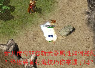 �¿�����SFŭն����������δ��䣿�ռ�װ�����켼������������