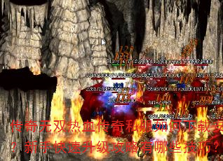 ������˫��Ѫ����˽��������ذ�װ�����ֿ���������������Щ���ɣ�