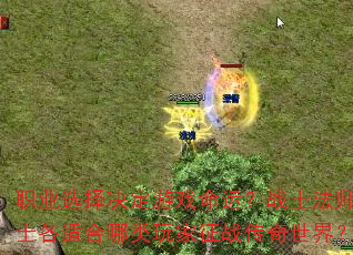 ְҵѡ�������Ϸ���ˣ�սʿ��ʦ��ʿ���ʺ����������ս�������磿