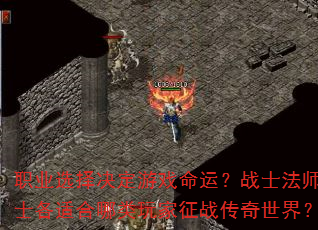 ְҵѡ�������Ϸ���ˣ�սʿ��ʦ��ʿ���ʺ����������ս�������磿