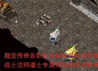 ���䴫���ְҵ��������ѡ�����ָ��սʿ��ʦ��ʿר����ָѡ���������