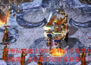 ����˽����ʿPKʱ�������ö������ٻ��ޣ���λ�����������ʤ�ʣ�