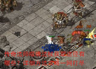 ���淨ʦ�ɻ귨�Ȼ�ȡ;������Щ����ϸ��������һ����