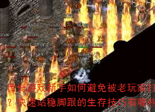 ������Ϸ������α��ⱻ����Ҵ�ѹ������վ�ȽŸ������漼������Щ��