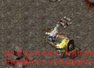 ��ʿְҵ�ڴ���˽������ο��������ٻ���ս�������ŶӸ������ɣ�