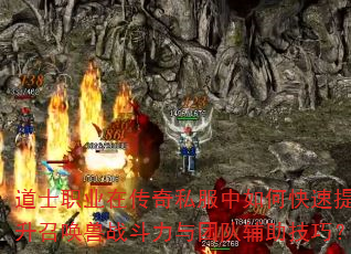 ��ʿְҵ�ڴ���˽������ο��������ٻ���ս�������ŶӸ������ɣ�