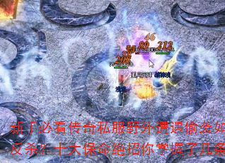 ���ֱؿ�����˽��Ұ������͵Ϯ��η�ɱ��ʮ���������������˼�����
