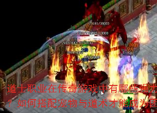 ��ʿְҵ�ڴ�����Ϸ������Щǿ����ϼ��ܣ���δ��������������ܳ�Ϊ�ŶӺ��ģ�