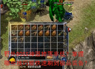 Ұ��BOSS���������ʵͣ�������Щ�����ܿ���ˢ����Ʒװ����