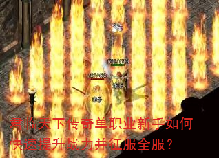 �������´��浥ְҵ������ο�������ս��������ȫ����