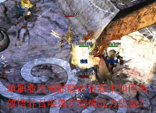 ��ְҵ��������ս��������θ�Ч�����ٻ��޲�ͻ��ս��ƿ����