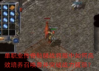 ��ְҵ��������ս��������θ�Ч�����ٻ��޲�ͻ��ս��ƿ����