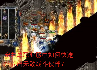 ���ﵥְҵ������ο����������޵�ս����飿