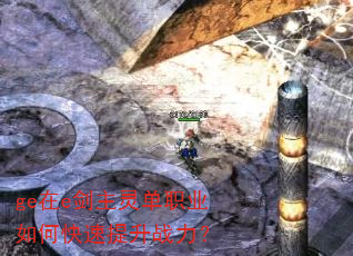 ge��e�����鵥ְҵ��ο�������ս����