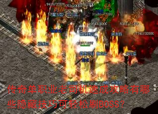 ���浥ְҵ��˾���ٳɹ�������Щ���ؼ��ɿ�����ˢBOSS��