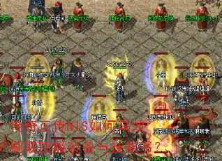 ��������NIS��θ�Чˢȡ����װ���뼼���飿