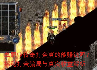��ְҵ�����������׬Ǯ�𣿽��ش��ƭ������ʵ�������