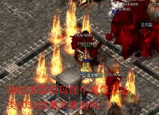 GM��͸¶�����ţħ�ּ�����BOSS�ı���������