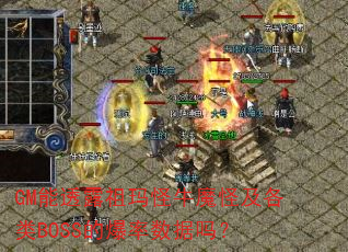 GM��͸¶�����ţħ�ּ�����BOSS�ı���������