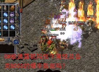 GM��͸¶�����ţħ�ּ�����BOSS�ı���������