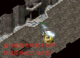 Ѫ���紫��SF������ο�������ս����װ����