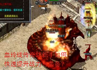 Ѫ���紫��SF������ο�������ս����װ����