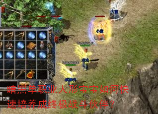 ���ڵ�ְҵ���α�����ο����������ռ�ս����飿