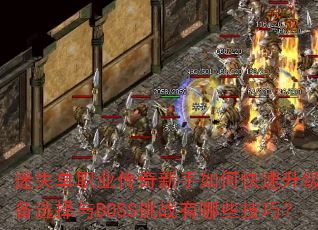 ��ʧ��ְҵ����������ο���������װ��ѡ����BOSS��ս����Щ���ɣ�