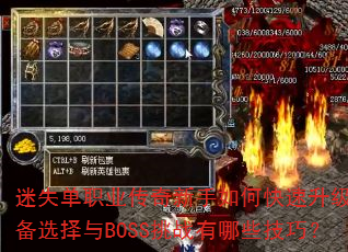 ��ʧ��ְҵ����������ο���������װ��ѡ����BOSS��ս����Щ���ɣ�