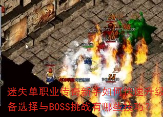 ��ʧ��ְҵ����������ο���������װ��ѡ����BOSS��ս����Щ���ɣ�