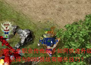 ��ʧ��ְҵ����������ο���������װ��ѡ����BOSS��ս����Щ���ɣ�