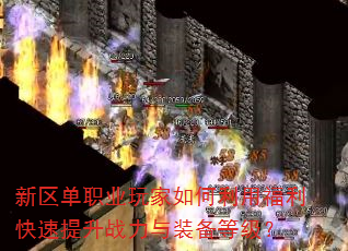 ������ְҵ���������ø�����������ս����װ���ȼ���