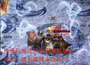 ����˽����ʦ��ΰ��Ѵ�Ƥ���ˣ���Ϊս����������