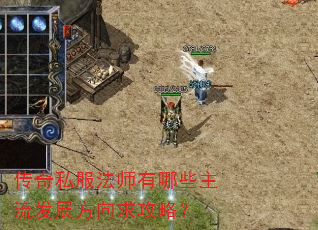 ����˽����ʦ����Щ������չ�������ԣ�