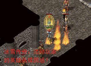 ��ѩ���棺��ʦ��ҵ�Ӣ��ѡ������