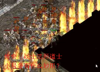 ���棺սʿ��ʦ��ʿС�Ÿ���ʲô���ã�