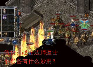 ���棺սʿ��ʦ��ʿС�Ÿ���ʲô���ã�