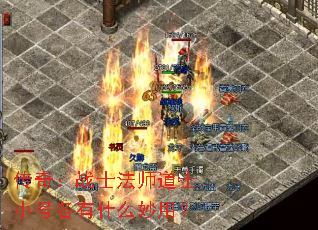 ���棺սʿ��ʦ��ʿС�Ÿ���ʲô���ã�