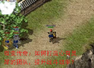 ΢�䴫�棺��δ���������Ϭ���Ŷӣ�����ս��Ч�ʣ�