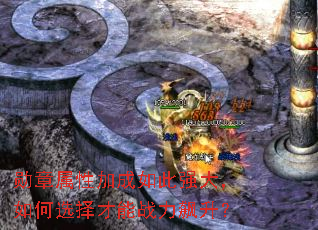 ѫ�����Լӳ����ǿ�����ѡ�����ս�������