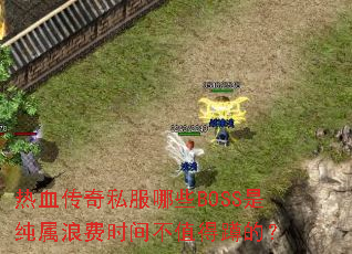 ��Ѫ����˽����ЩBOSS�Ǵ����˷�ʱ�䲻ֵ�ö׵ģ�