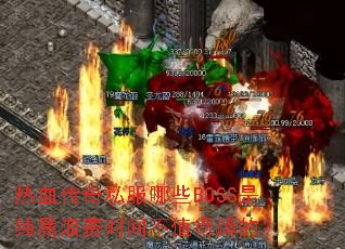 ��Ѫ����˽����ЩBOSS�Ǵ����˷�ʱ�䲻ֵ�ö׵ģ�