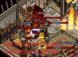 ��Ѫ����˽����ЩBOSS�Ǵ����˷�ʱ�䲻ֵ�ö׵ģ�
