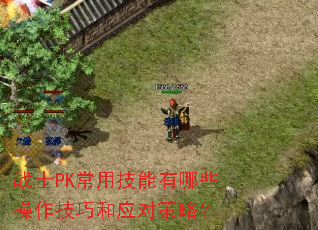 սʿPK���ü�������Щ�������ɺ�Ӧ�Բ��ԣ�